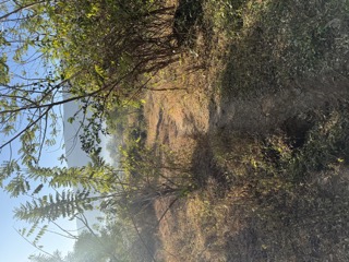 יום 16 — 3