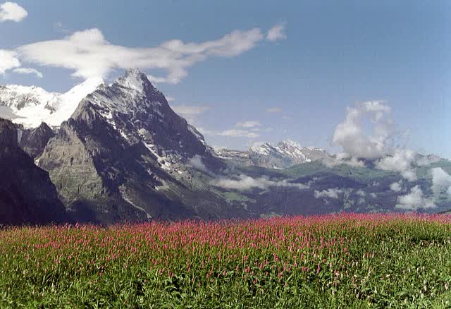 הקיר הצפוני של Eiger